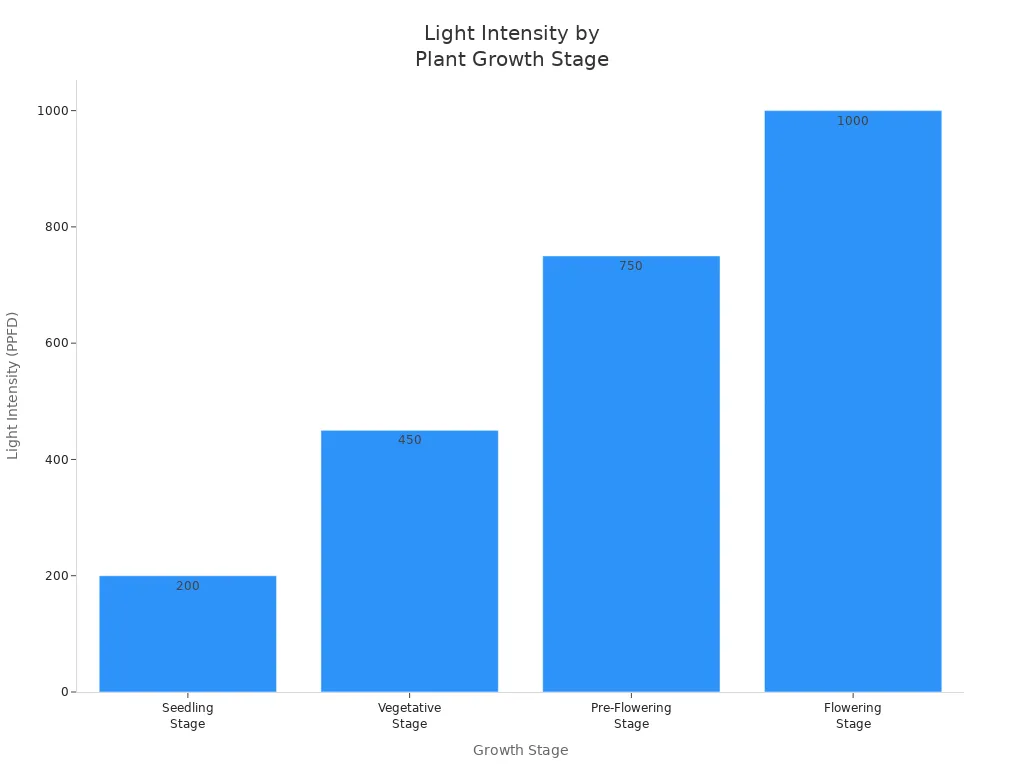 Light Intensity by Plant Growth Stage