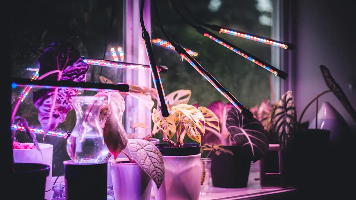 Best Light for Plant Types and Grower Needs