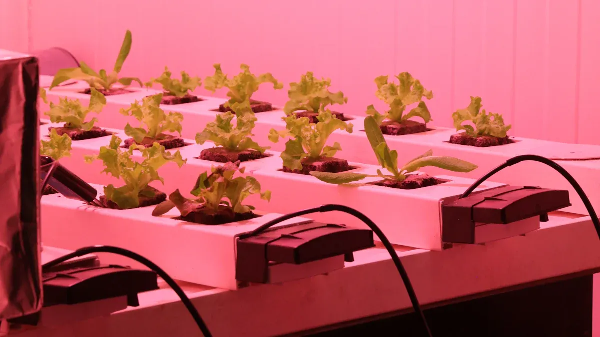 Are UV Light Lamp for Plants Indoor ? The Upsides and Downsides