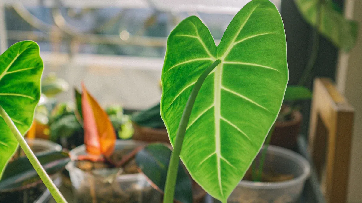 Comparison Table: 4x4 LED Grow Lights