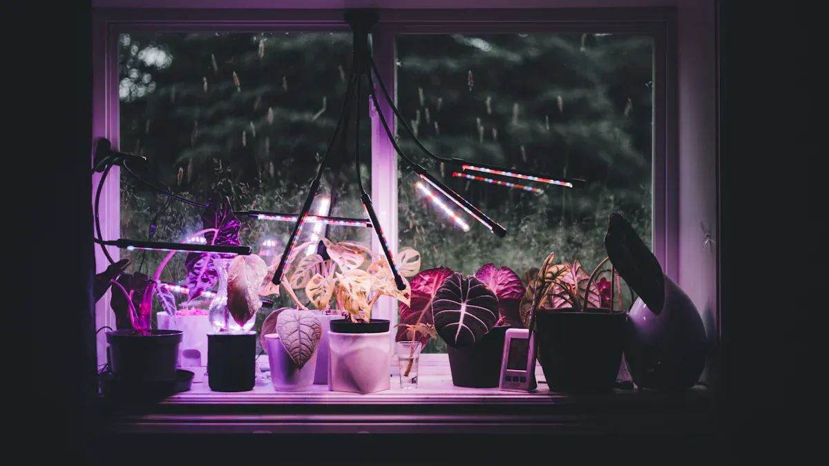 Fluorescent vs LED Plant Lights for Indoor Plants