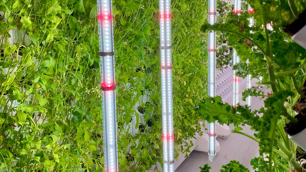 Growing Plants with LED Lights - Practical Guide