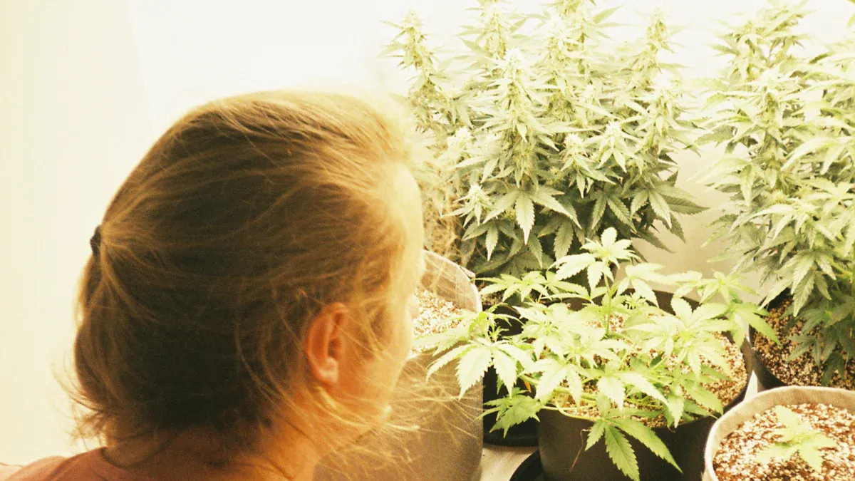 Ideal Grow Lights for Small Cannabis Spaces