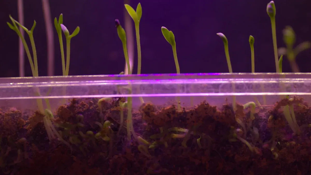 Real-World Plant Growth Results