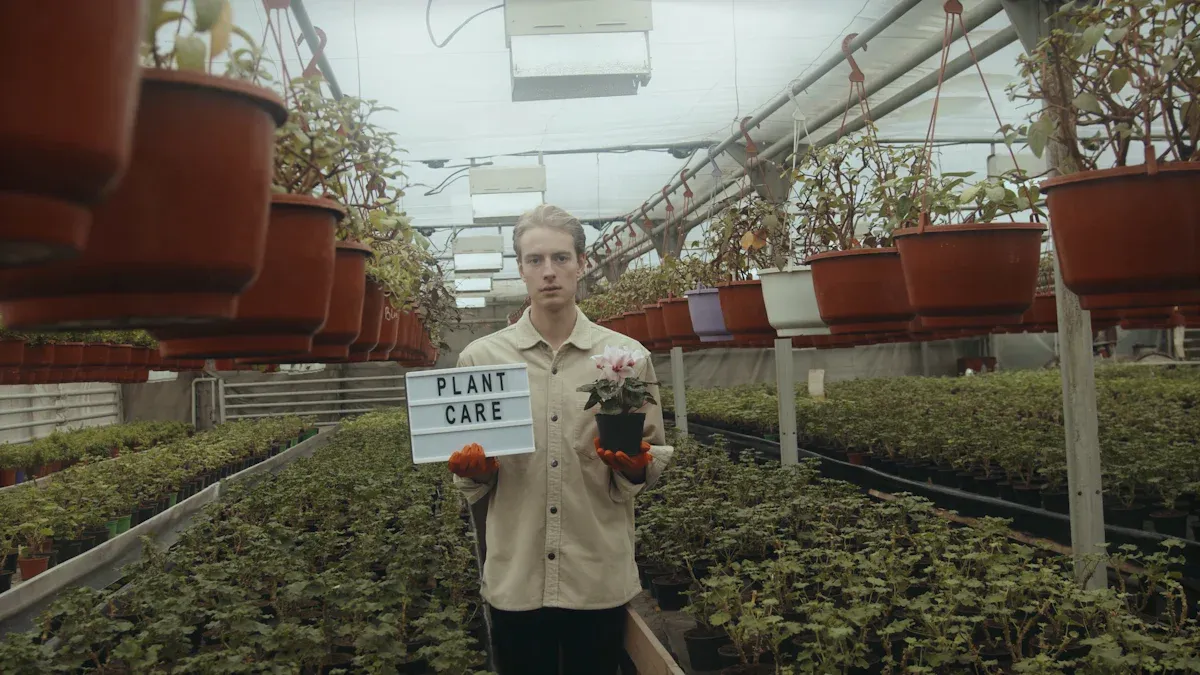 How to Pick the Perfect Grow Lamps for Indoor Plants