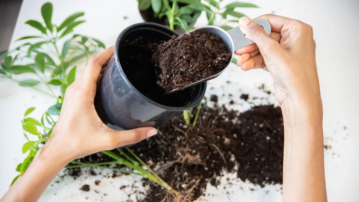 Soil and Drainage for Growing Plants Indoors