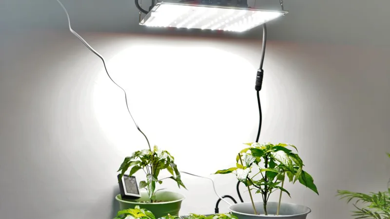 Spiderfarmer SF-1000