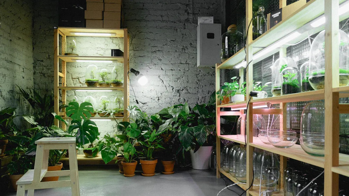 Best Grow Lights for Indoor Plants - Brand Comparison