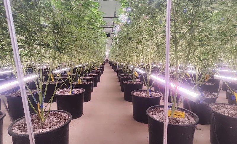 LED Grow Light Bar: Slim, Stackable Lights for Vertical Growing