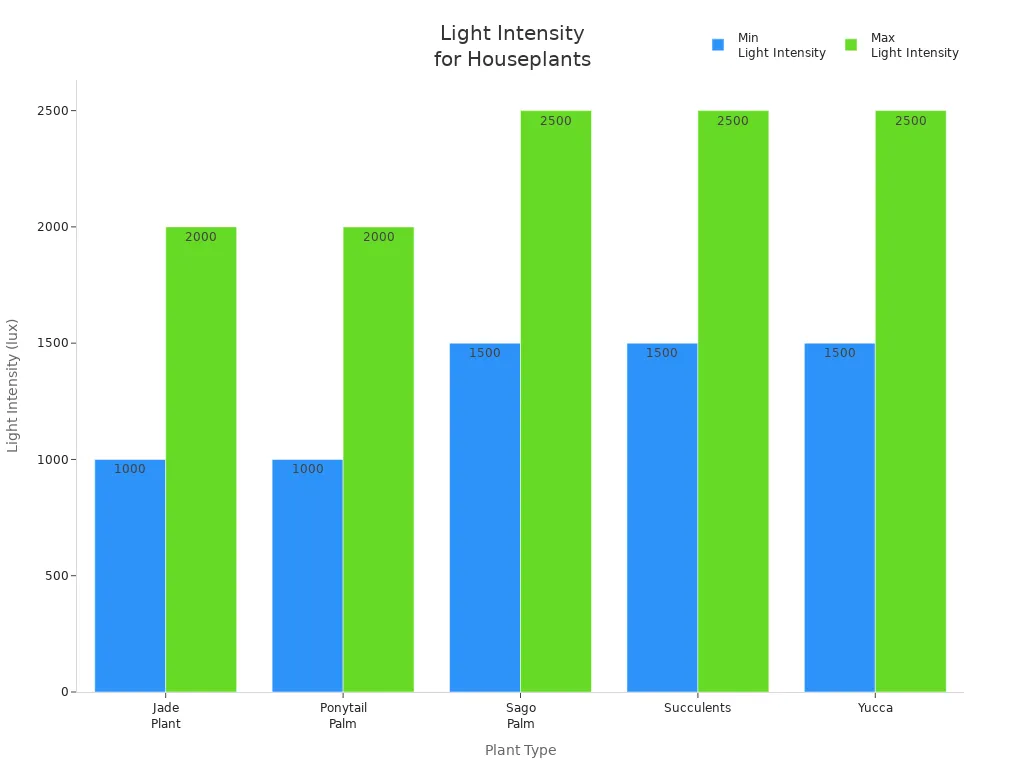 Ultra Violet Light for Plants: Essential Houseplant Guide