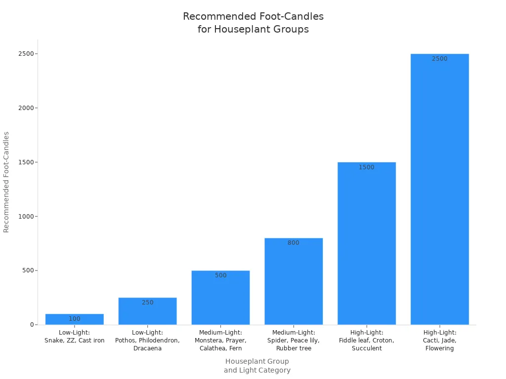 Recommended Foot-Candles for Houseplant Groups