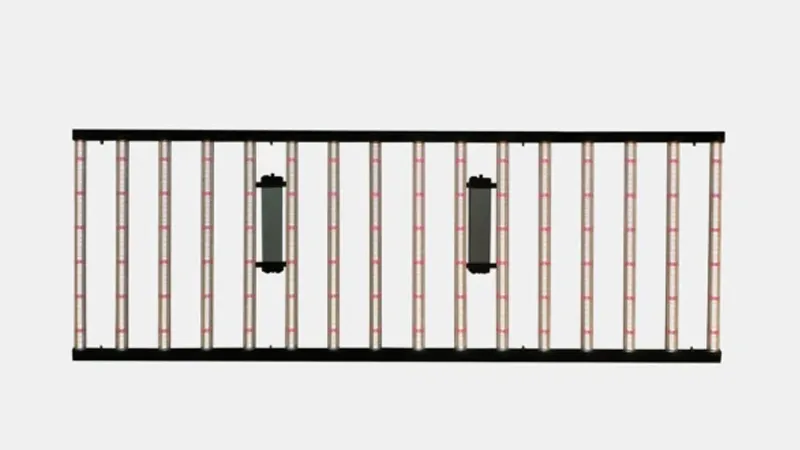 Blue Light (400 nm – 500 nm)