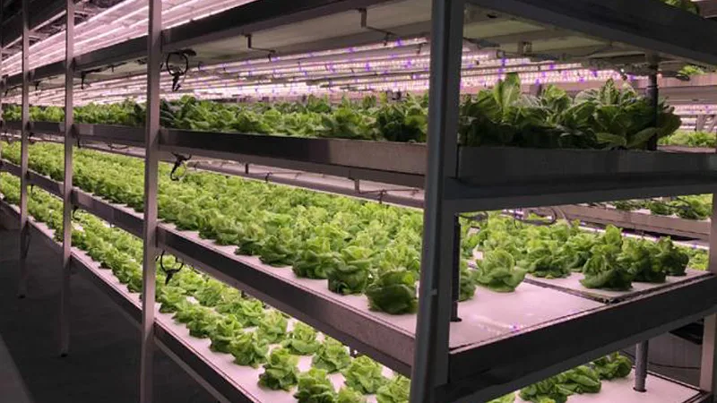 Comprehensive Evaluation of ROI and Total Cost of Ownership (TCO)