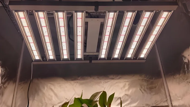 Demystifying Automated Dimming Systems in Commercial Grow Lights