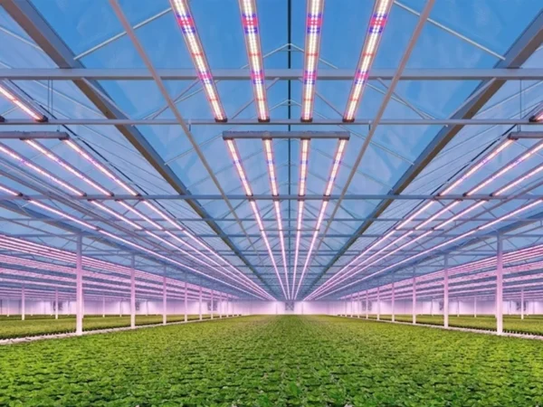 Greenhouse Lighting