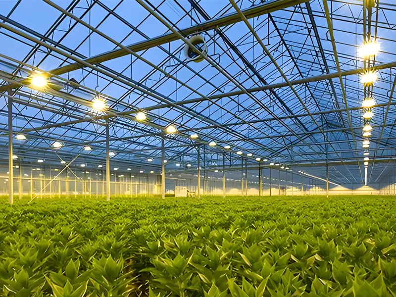 High-Efficiency LED Top-Lighting