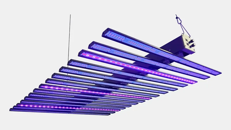 LED Grow Light Manufacturer