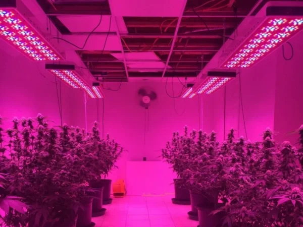 LED Plant Grow Light