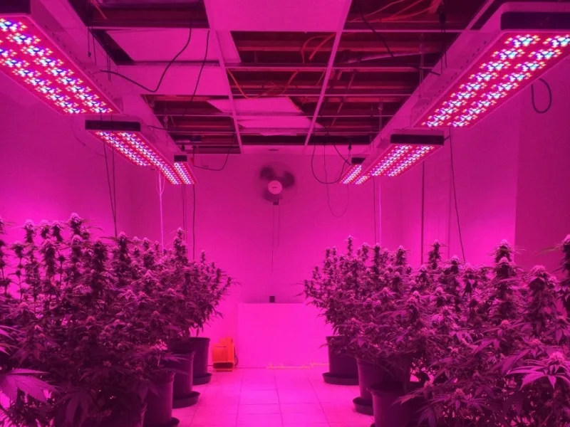 LED Plant Grow Light