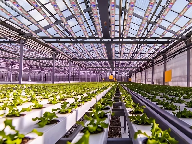 Low-Heat-Radiation LED Grow Lights