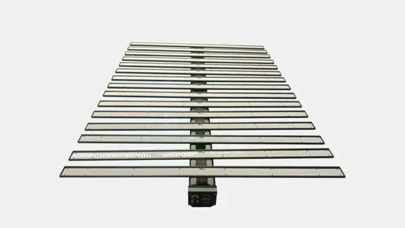 Red Light (600 nm – 700 nm)