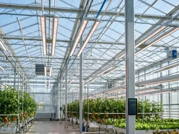 Smart Greenhouse Supplemental Lighting