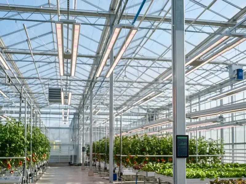Smart Greenhouse Supplemental Lighting