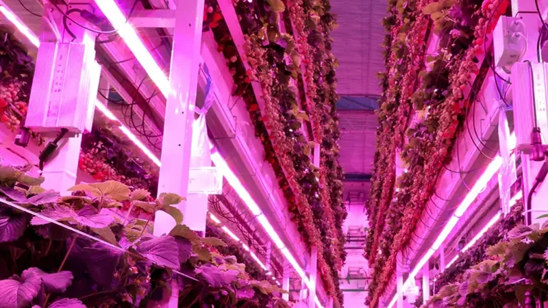 The SLTMAKS Ecosystem: Your Partner in Vertical Integration