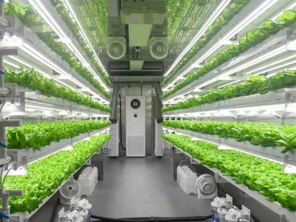 Vertical Farm Lighting Design