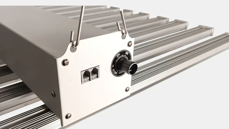 Vertical Farm Lighting Innovations