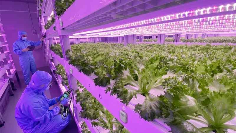 Quantify crop light demand