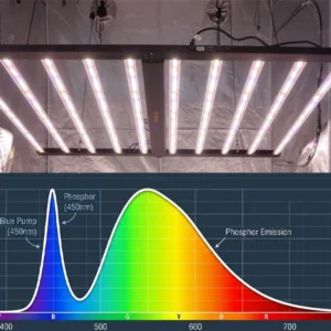 custom LED grow light
