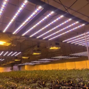 grow light flickering fault
