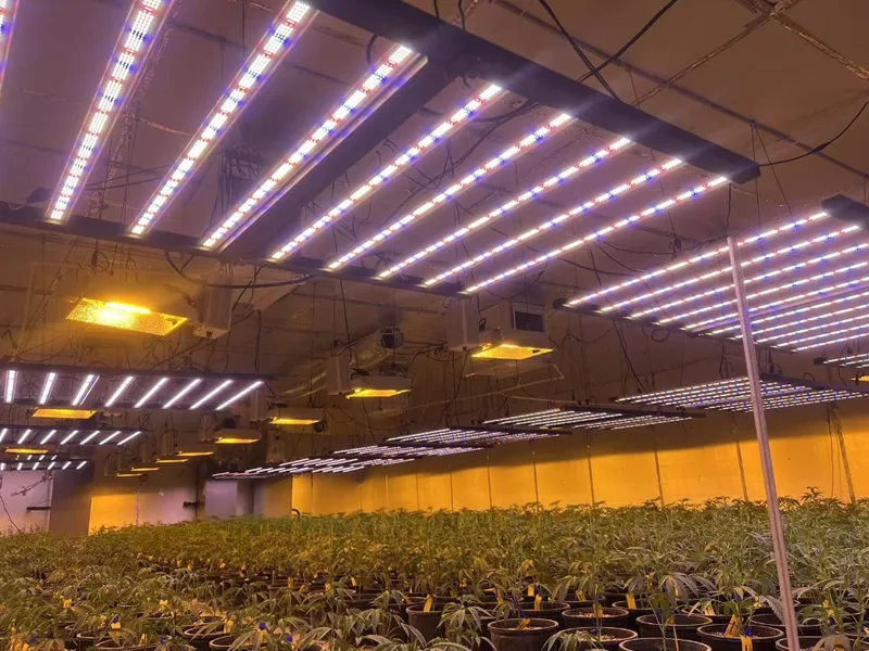 grow light flickering fault