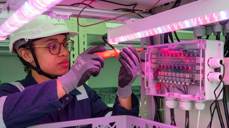 Engineering Installation, Dimming Integration & Lifecycle Maintenance