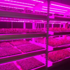 Industrial LED Grow Light Systems