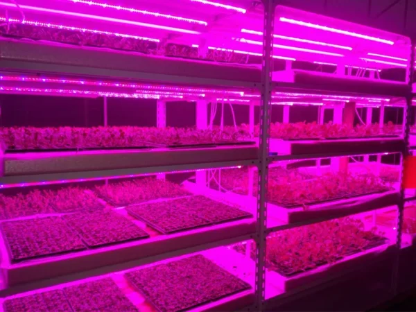 Industrial LED Grow Light Systems