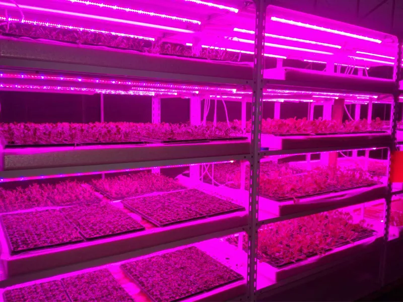 Industrial LED Grow Light Systems