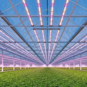 commercial supplemental lighting engineering