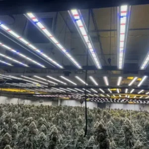 DLC certified grow lights