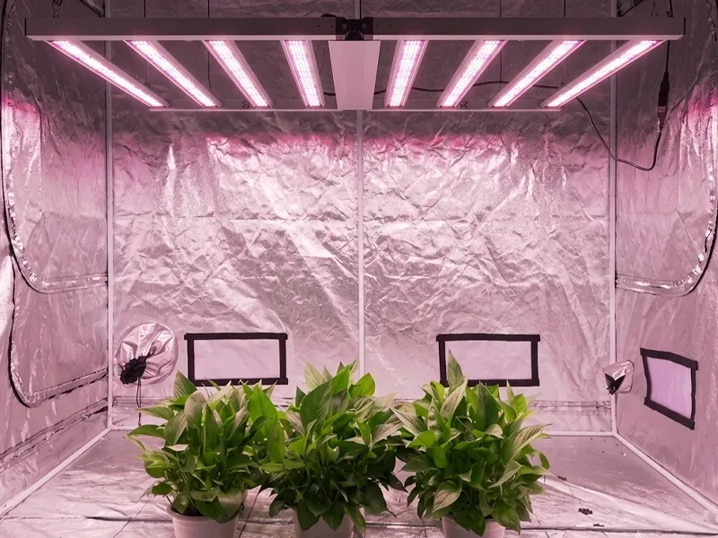 1000w led grow light full spectrum