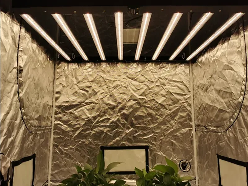 800W foldable latest led grow light technology 800W foldable latest led grow light technology