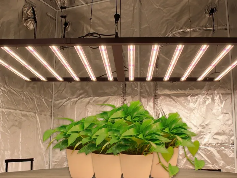 1300W F Series 4x6ft top shelf grow light
