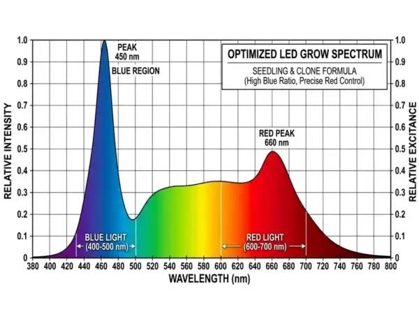 The Science of Veg Spectrum The Science of Veg Spectrum