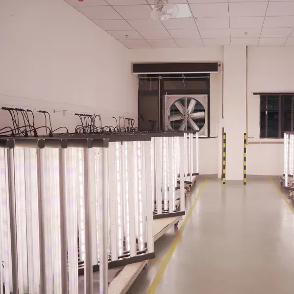 hanging grow light