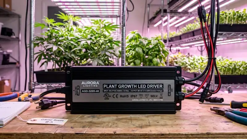 plant growth led driver