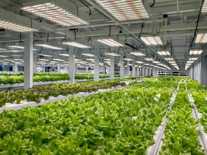 private label grow lights