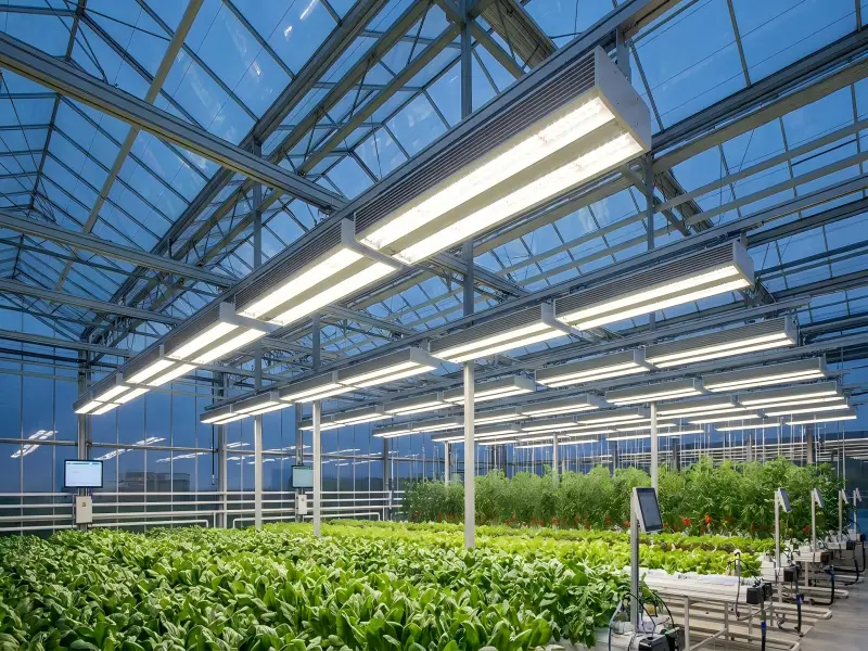 retrofit hps to led