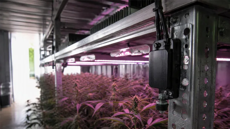 Grow light driver vibration