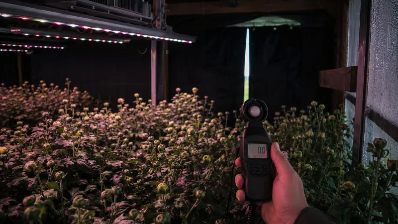 LED operations guide for horticulture